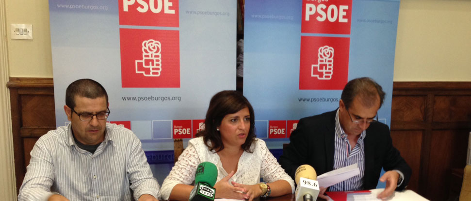 El Grupo Socialista defender&aacute; en el Pleno de la Diputaci&oacute;n los servicios sociales, las infraestructuras de Aranda y el CRAS de Albillos&nbsp;