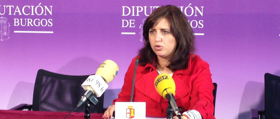 El Grupo Socialista volver&aacute; a pedir la disoluci&oacute;n del IDJ como organismo aut&oacute;nomo