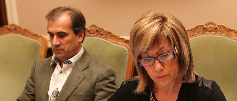 <div>El PSOE insta a la Diputaci&oacute;n a urgir a la Junta el plan de protecci&oacute;n para Clunia</div>