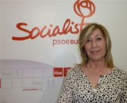 El PSOE urge a la Diputaci&oacute;n y la Junta las medidas y el dinero que prometieron en 2019 para mejorar la cobertura de internet