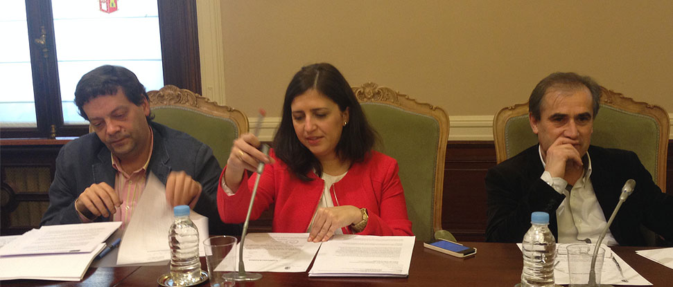 El Grupo Socialista logra que la Diputaci&oacute;n se implique en la reivindicaci&oacute;n del &lsquo;Directo de Aranda&rsquo; y en la financiaci&oacute;n a entidades locales para escuelas infantiles