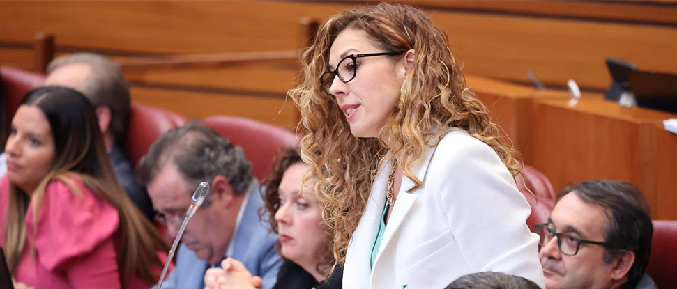 <div>El PSOE pide a la Junta máquinas biotrituradoras para ayuntamientos y mancomunidades de la provincia de Burgos</div>