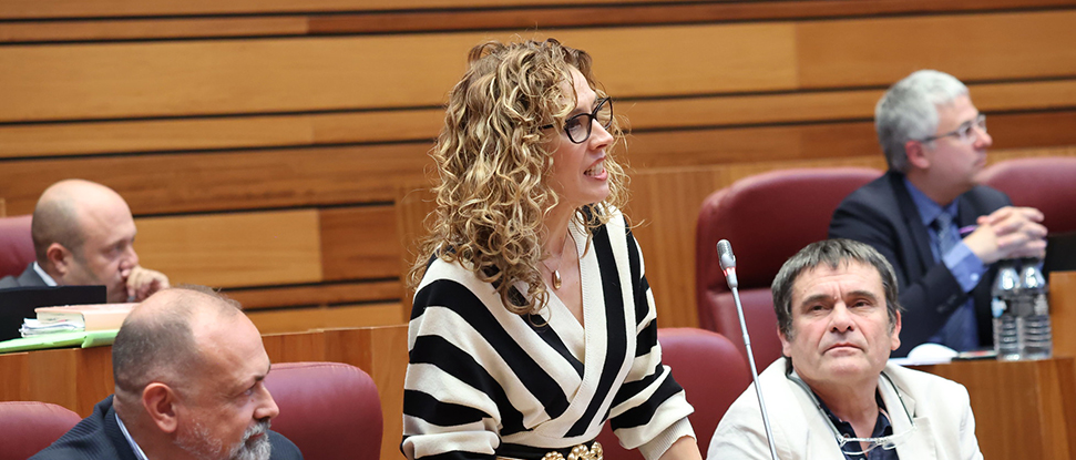 El PSOE pide a la Junta ayudas extraordinarias para los agricultores y ganaderos v&iacute;ctimas de vandalismos en la provincia de Burgos