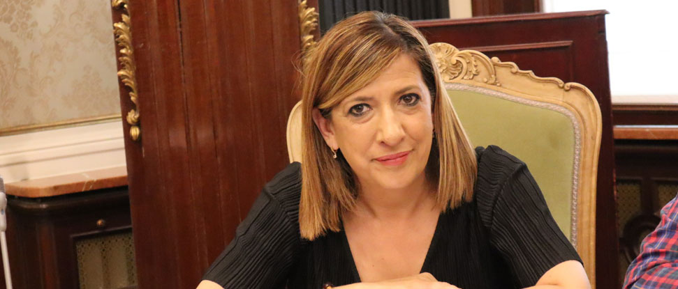 La Diputaci&oacute;n aprueba la proposici&oacute;n del PSOE para instar a la Junta a ordenar y limitar la instalaci&oacute;n de parques fotovoltaicos en zonas agr&iacute;colas y de especial protecci&oacute;n