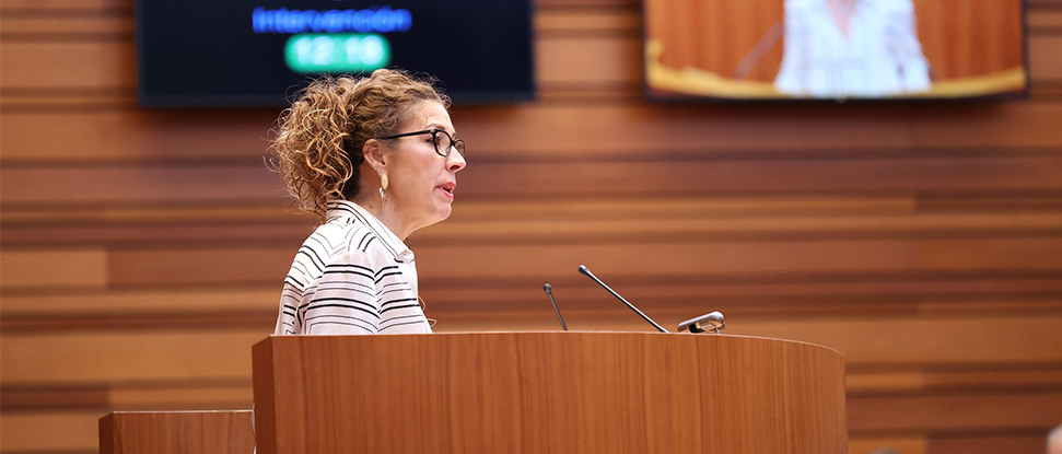 El PSOE pide a la Junta medidas extraordinarias para los afectados por el pedrisco y las tormentas en la provincia de Burgos