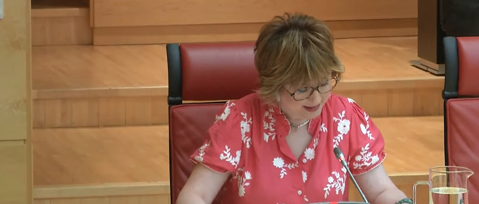 Las Cortes aprueban la proposici&oacute;n socialista para reforzar los recursos especializados en Violencia de G&eacute;nero en Burgos