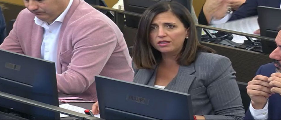 Pe&ntilde;a destaca que el ramal ferroviario de Olmedo sit&uacute;a a Burgos como nodo estrat&eacute;gico del norte